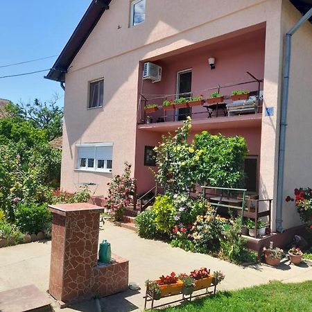 Soba Lavanda Kladovo Kültér fotó