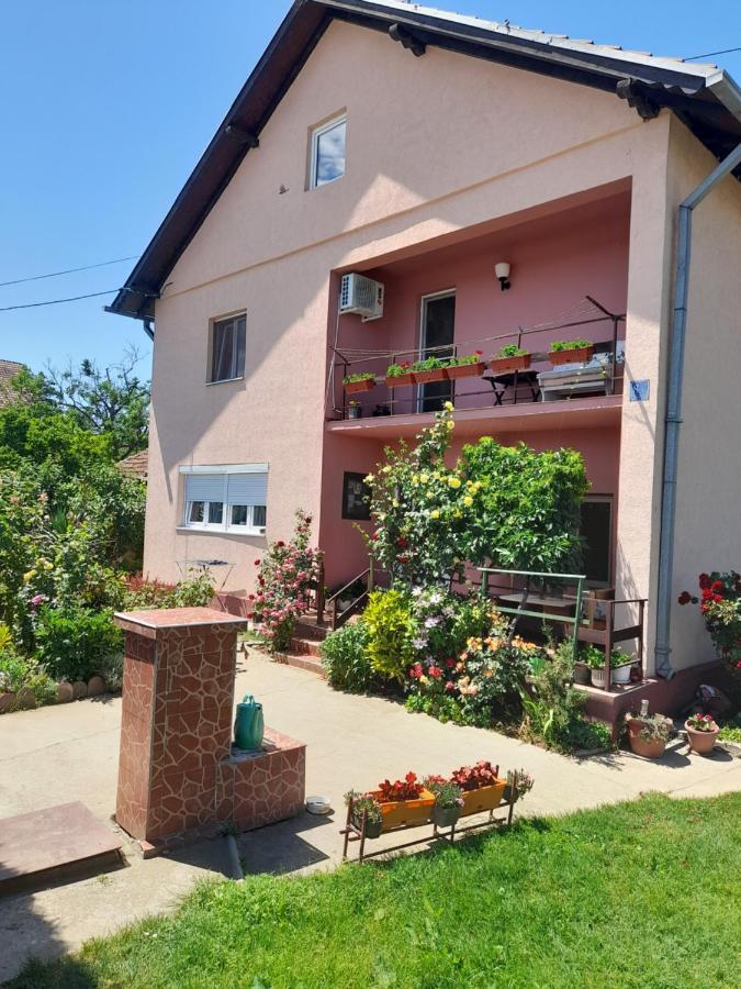 Soba Lavanda Kladovo Kültér fotó
