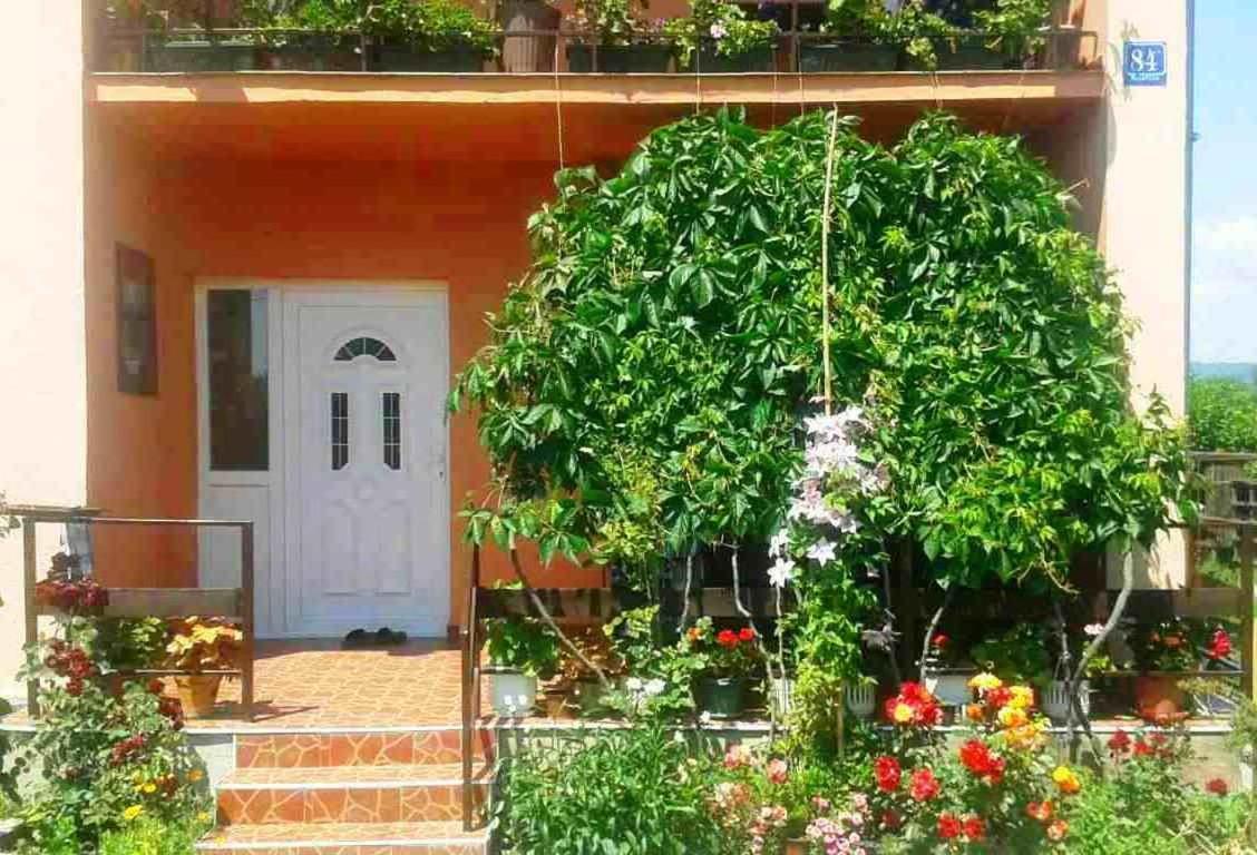 Soba Lavanda Kladovo Kültér fotó
