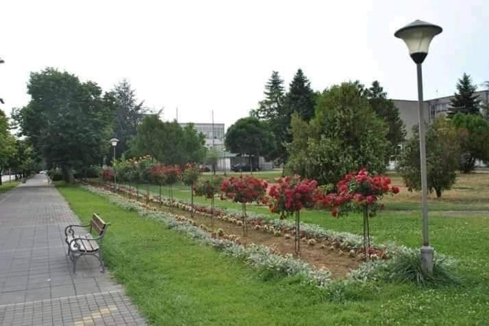 Soba Lavanda Kladovo Kültér fotó